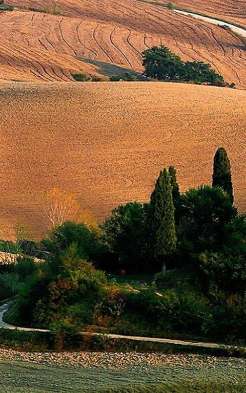 Que faire en Toscane en Automne