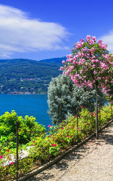 Le meilleur moment pour voyager en toute tranquillité