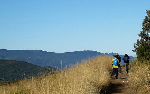 L'inoubliable chemin de la Via Francigena
