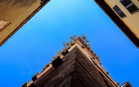 Visitez Lucques à Vélo!