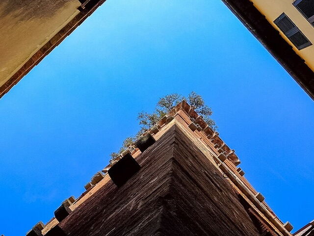 Visitez Lucques à Vélo!