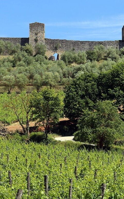 Le village de Monteriggioni (SI)