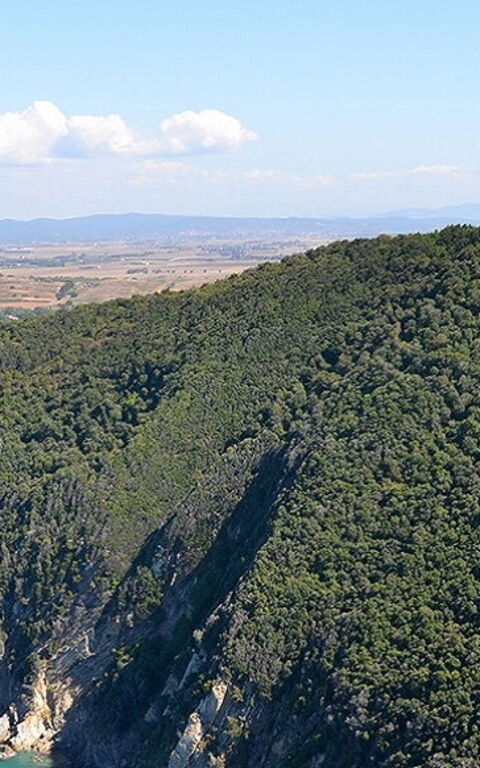Baratti et Populonia