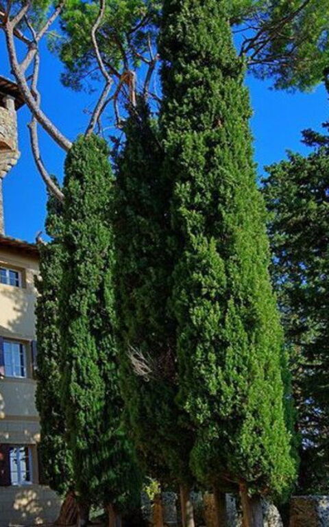 Le Bourg de Cetona et son Château