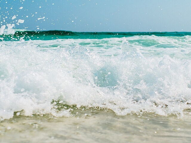 Un Tour entre les 7 Iles de l'Archipel Toscan