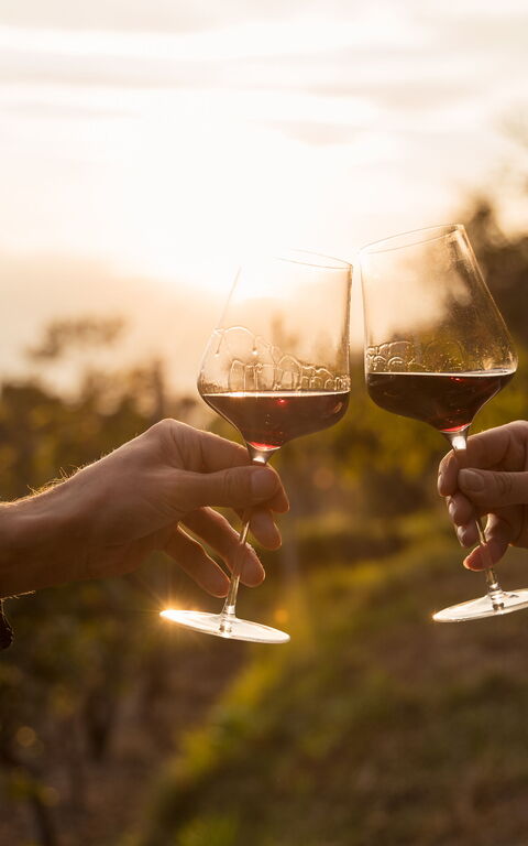 Quoi faire à Bolgheri