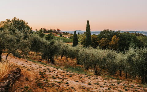 Les "Vacances des Vacances" : L'Art de Ralentir dans une Villa Exclusive en Septembre
