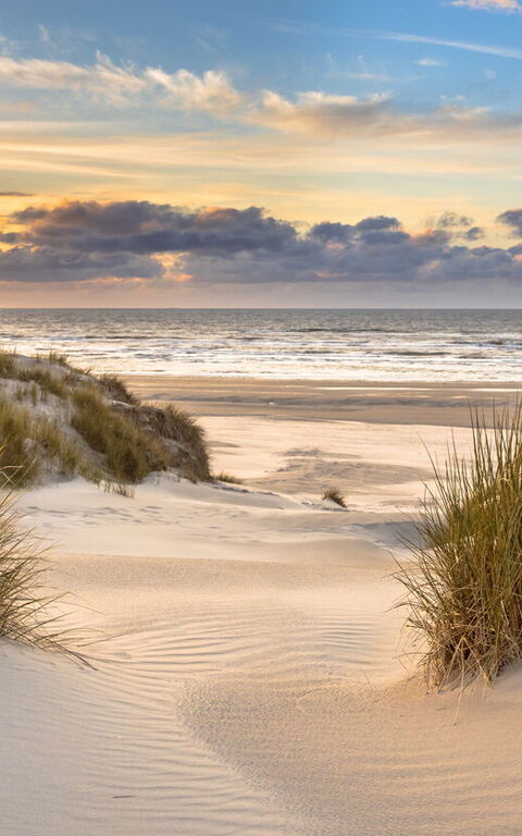 Le Luxe Rencontre la Durabilité : Votre Guide des Villas Écoresponsables en Italie et en Grèce