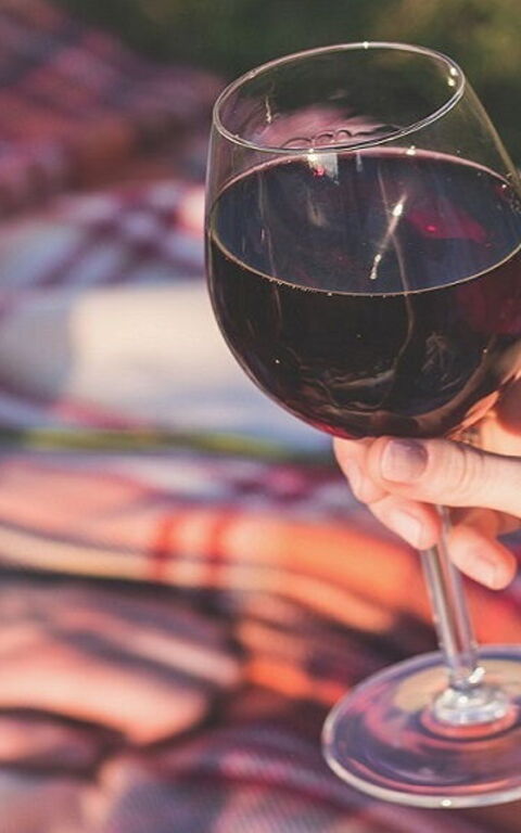 Chianti: le Vin et le Consorzio