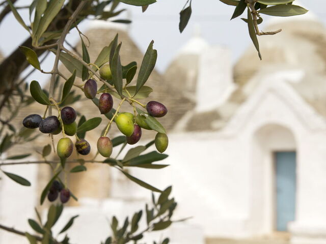 10 plats typiques de la cuisine des Pouilles