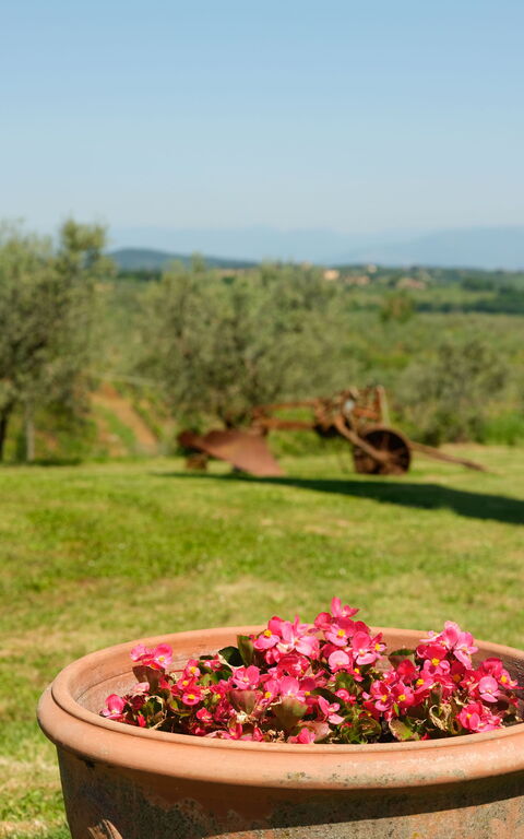 Pozzo Dei Desideri: Extérieur, Extérieurs, Jardin, Vues