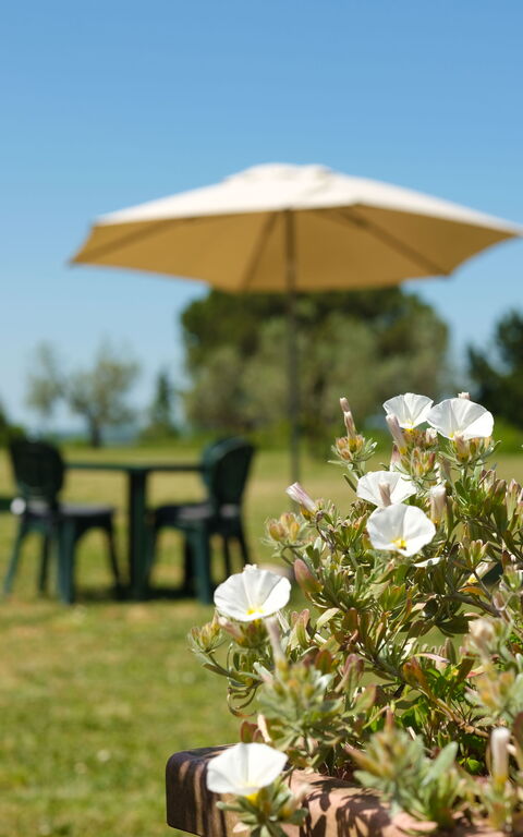 Pozzo Dei Desideri: Extérieur, Extérieurs, Jardin