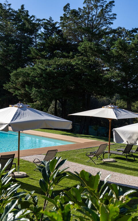 Villa Simone: bassin, Extérieur, Jardin