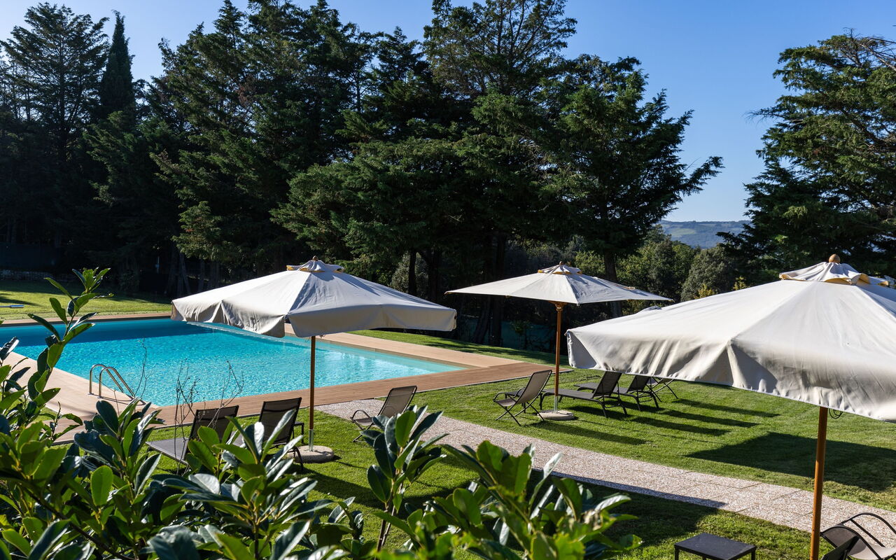 Villa Simone: bassin, Extérieur, Jardin
