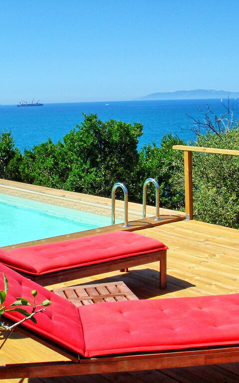 Presidio: bassin, Jardin