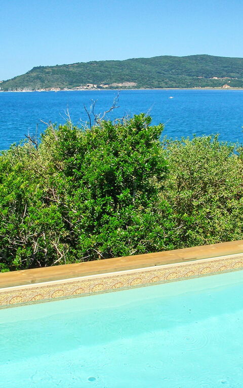 Presidio: bassin, Jardin