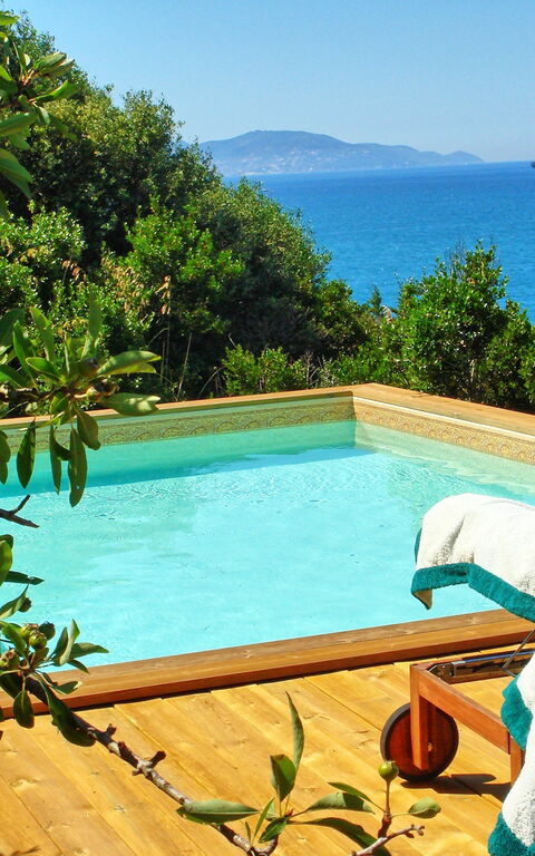 Presidio: bassin, Jardin