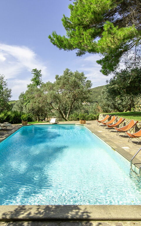 Castello Leopoldo: bassin, Jardin