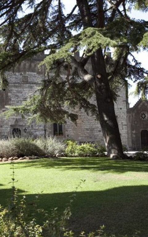 Castello Leopoldo: Jardin