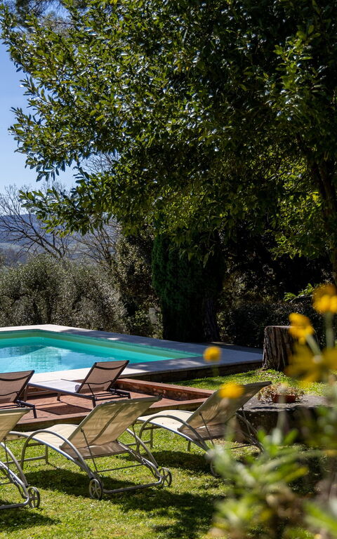 Villa Orchidea: bassin, Extérieur