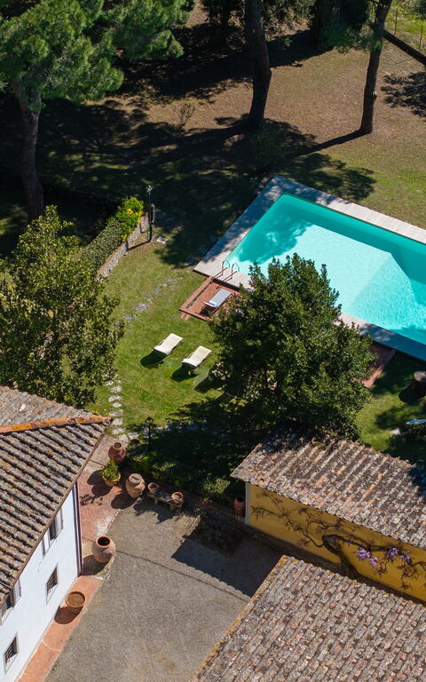 Villa Orchidea: bassin, Extérieur, Vues