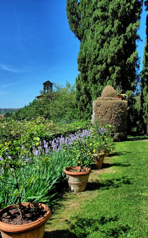 Montegufoni: Jardin