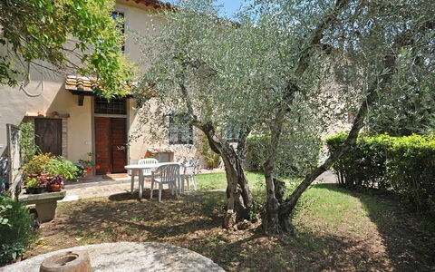 Logement Archi: Extérieurs, Jardin