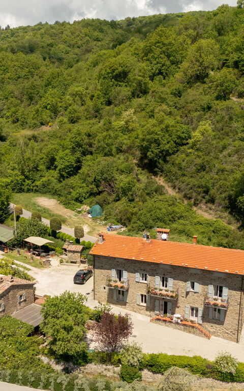 Casa Ivan: Jardin