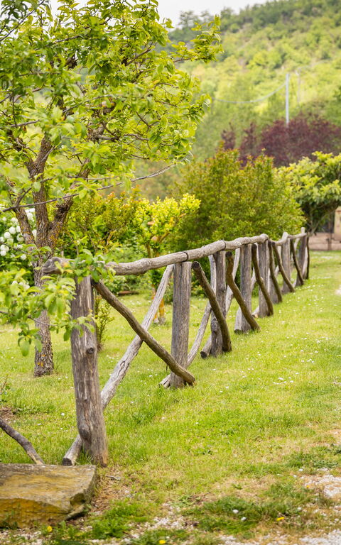 Casa Ivan: Extérieur, Extérieurs, Jardin