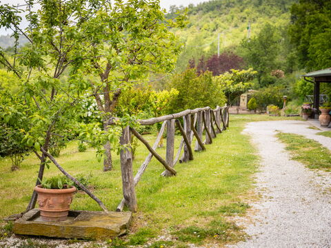 Casa Ivan