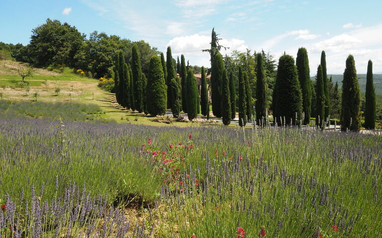 Cornocchio: Vues