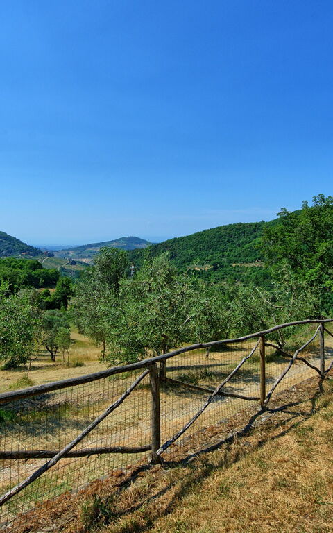 Poggio Conca: Jardin