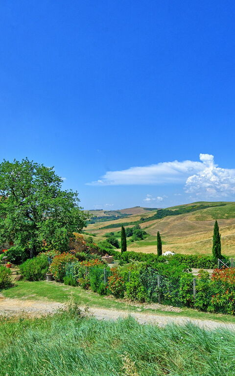 Castelmuzio: Extérieur, Vues