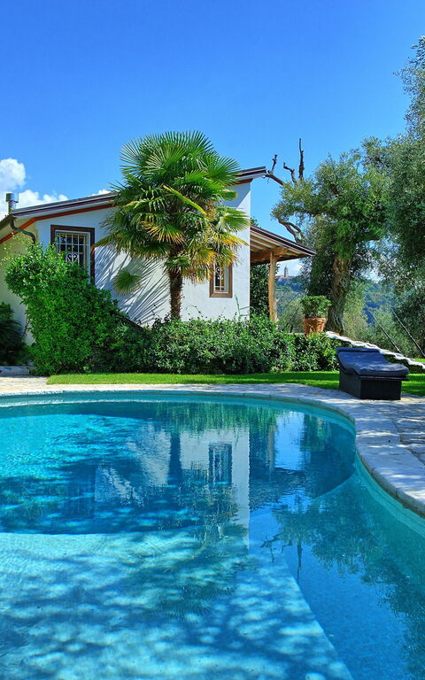 Villa Oliveta: bassin, Été