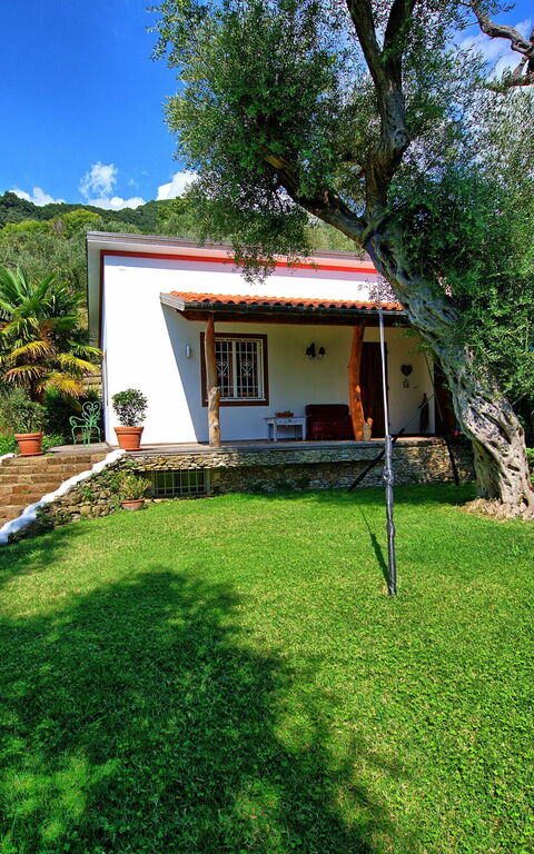 Villa Oliveta: Extérieur, Jardin