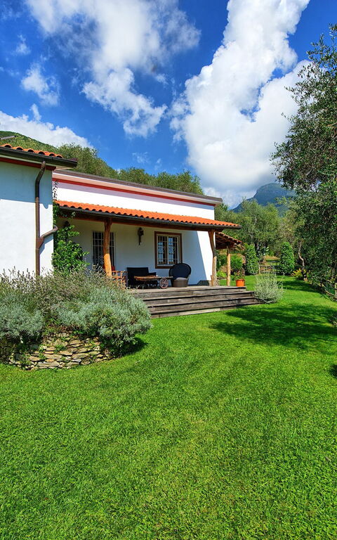 Villa Oliveta: Extérieur, Jardin