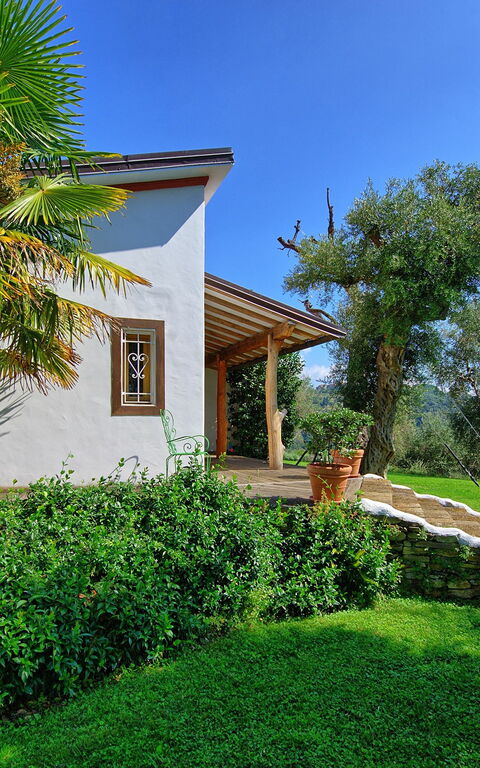 Villa Oliveta: Extérieur, Jardin