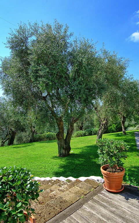 Villa Oliveta: bassin, Vues