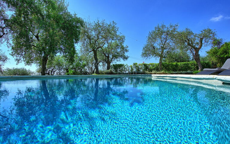 Villa Oliveta: bassin, Été, Vues