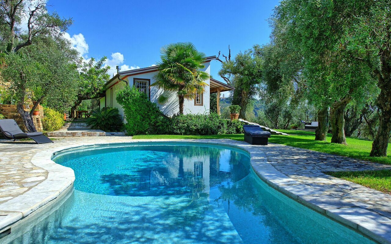 Villa Oliveta: bassin, Été