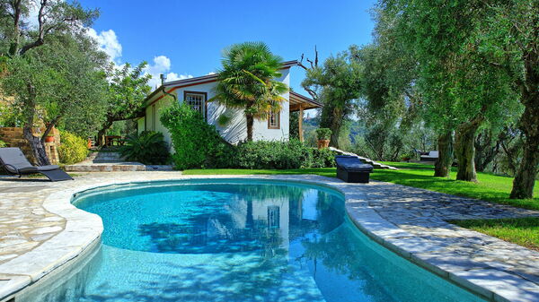 Villa Oliveta: bassin, Été