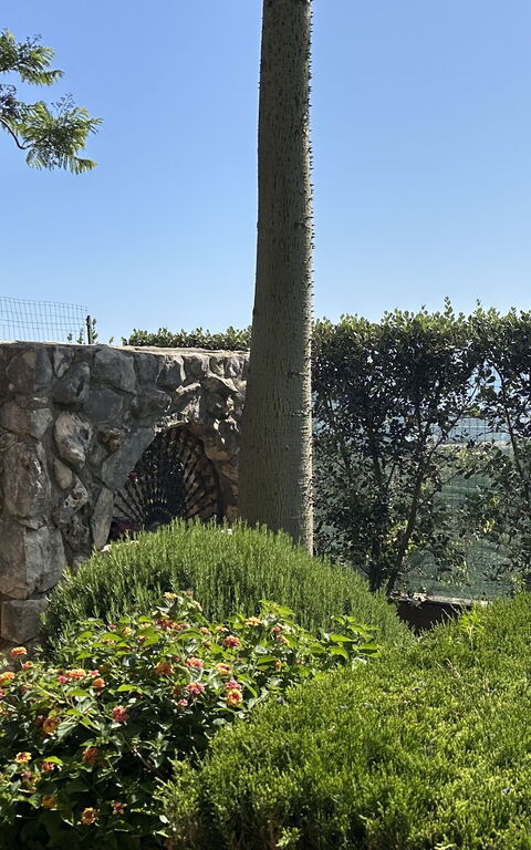 Castellammare: Extérieurs, Jardin
