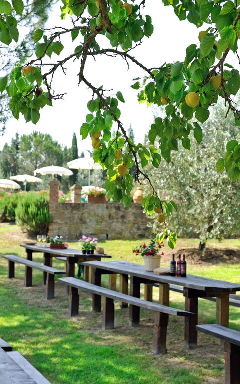 Montelopio: Extérieur, Jardin