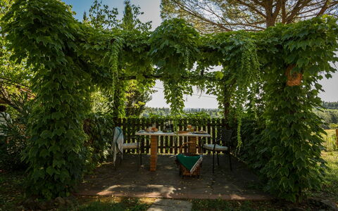 Logement Montelopio 8: Extérieur, Jardin