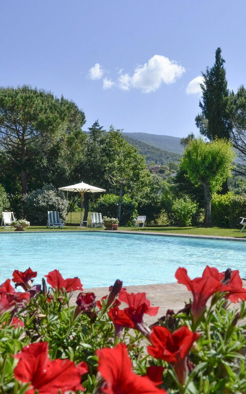 San Pietro: bassin, Jardin