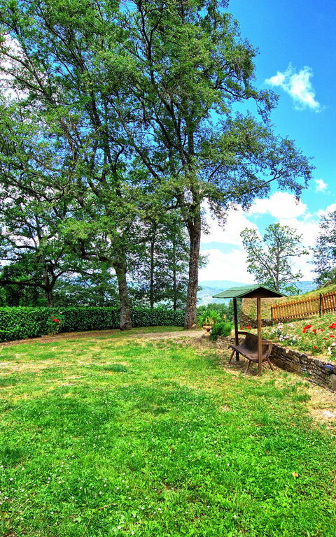 Villa Margherita: Jardin