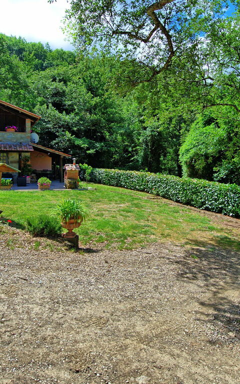 Villa Margherita: Jardin