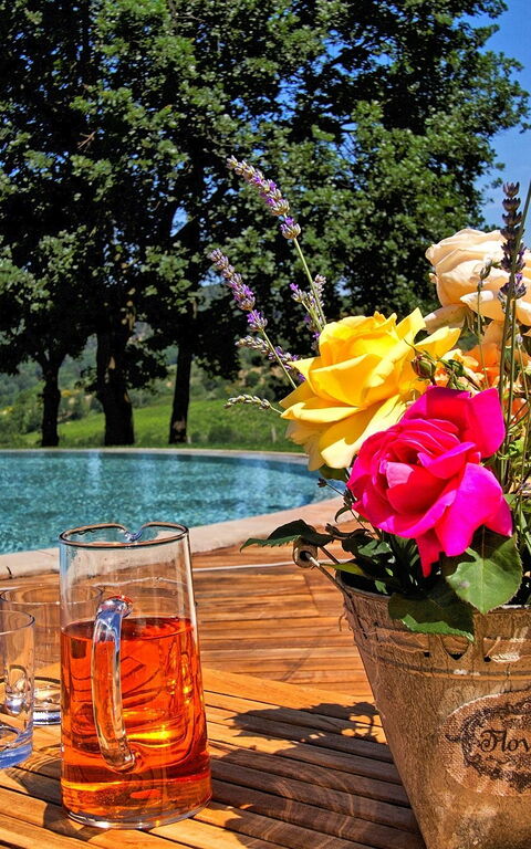 Villa Petrognano: bassin, Extérieur, Vues