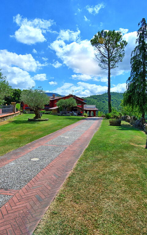 Villa Contessa: Jardin