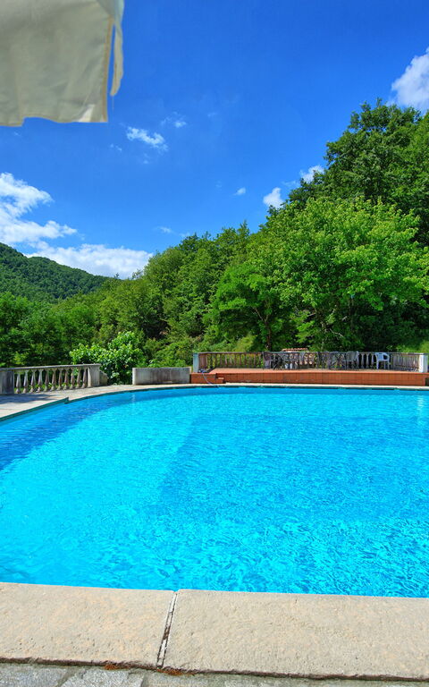 Villa Contessa: bassin